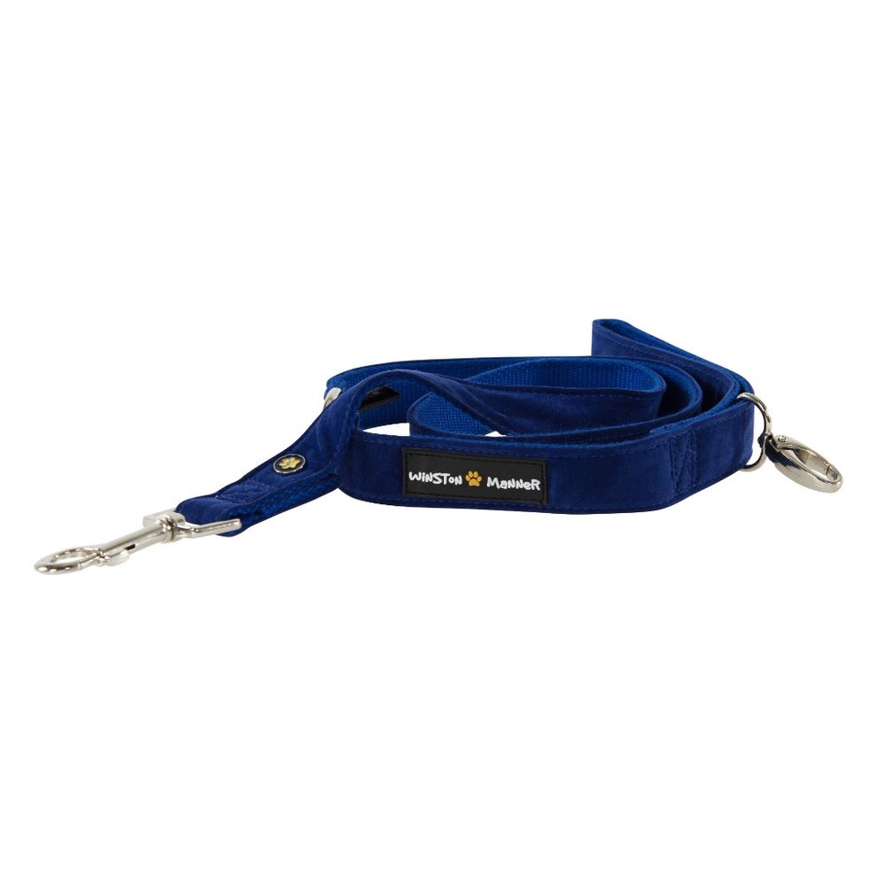 Winston Manner Designer Dog Leash in Royal Blue